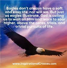 Eagles Don T Always Have A Soft And Easy Life Nor Will We But Just As Eagles Illustrate God Positive Quotes Nice Words About Life I Have Overcome The World