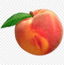 Download Peach Png Image With Transparent Background Toppng