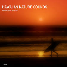 We did not find results for: Kohala Forest Reserve Gentle Stream And Birds For Insomnia And Stress Relief Hawaiian Forest Sounds Song By Hawaiian Music Of Nature Spotify