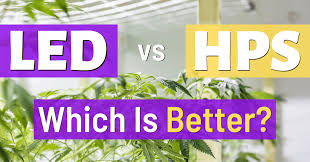 We did not find results for: Led Vs Hps Lights Grow Led Holland