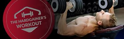 Hardgainer Workout Routine Bowflex