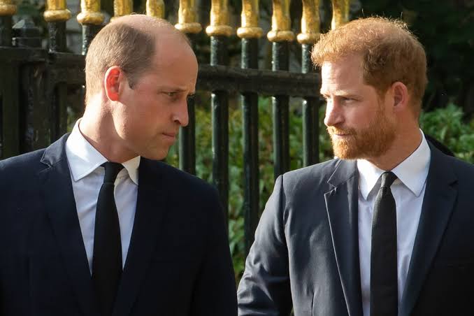 Jennie Bond: 'Prince Harry's plan to end feud will be too difficult for  William to ignore' - The Mirror