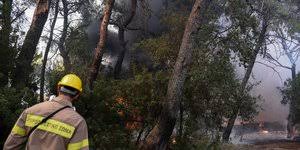 Σύμφωνα με τις εικόνες του δορυφόρου και τους υπολογισμούς του εθνικού αστεροσκοπείου αθηνών /meteo.gr, οι καμένες περιοχές ξεπερνούν σε έκταση τα 3.000 στρέμματα.(πατήστε για τη συνέχεια) W9dv 2jedk4xqm