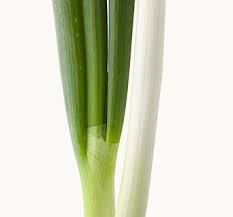 長ねぎの選び方 素材と料理の基本 とっておきレシピ キユーピー