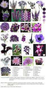 This Is A Cool Website Has Several Boards Like This With Flowers Sorted By Color Flower Guide Purple Flowers Purple Wedding Flowers