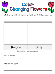 If you use flowers such as daisies that take longer to do this experiment, change the water entirely every. Simple Science Experiments And Worksheet Hands On Teaching Ideas