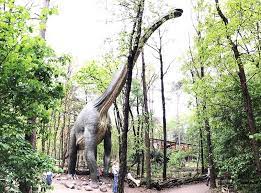 Volgens het dierenpark kreeg het. Dierenpark Amersfoort Een Geweldig Uitje Voor Kinderen