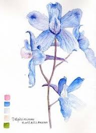 Tattoo On This Town Flower Art Delphinium Tattoo Flower Painting