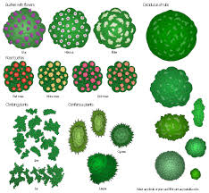 Check spelling or type a new query. Design Elements Bushes And Trees Bushes