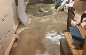 The 10 Major Causes Of Basement Flooding And Prevention Tips - PuroClean Of  Plymouth Meeting