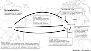 indian baby weight online charts collection