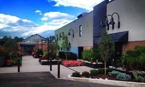 Maybe you would like to learn more about one of these? Company Veldkamp S Flowers Denver Florist Flowers Plants Gifts