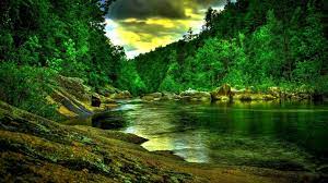 Nature Hd Desktop Wallpapers Top Free Nature Hd Desktop Backgrounds Wallpaperaccess Desktop wallpaper rose wallpaper 4k wallpaper space wallpaper.