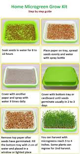 We did not find results for: Amazon Com 2 Pack Of Bpa Free Home Microgreen Soilless Hydroponics Seed Sprouter Grow Tray With Cover Free Spray Bottle And 20 Sheets Growing Paper Garden Outdoor