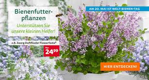 1 Bienenfutterpflanzen 3 Pflanzen Bluhende Pflanzen Gartenthema