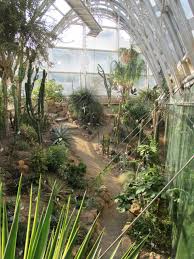 Botanical Garden Botanischer Garten Graz Aktuelle 2020 Lohnt Es Sich Mit Fotos