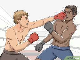3 Ways To Become A Professional Fighter - Wikihow
