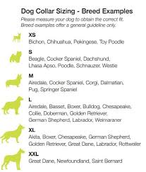 72 Conclusive Newfoundland Dog Size Chart
