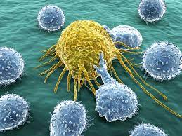 This is known as a cancer in . Differences Between A Malignant And Benign Tumor