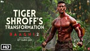 Baaghi 2 Cast Reviews Release Date Story Budget Box Office Scenes Song Shortly after arriving at a martial arts academy, a troubled young man falls in love with a girl.