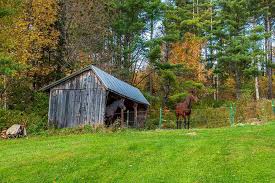 But protecting her might be the easiest part of the job as you move into charlotte's house and live with one of the world's most beautiful models. On The Market A Hillside Farmhouse In Vermont