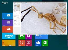 We are the biggest professional calibration lab and manufacturer of measuring instruments tools in taiwan since 1983.we supply a very wide range precision such as calipers, micrometers, dial indicators, gauges. Image Capture Software For Progres Microscope Cameras Jenoptik
