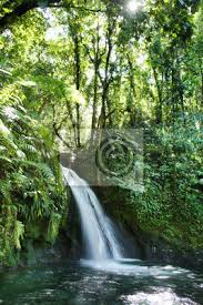 Find the perfect hotel within your budget with reviews from real travelers. Crayfish Wasserfall Oder La Cascade Zusatz Ecrevisses Guadeloupe Nationalpark Fototapete Fototapeten Myloview De