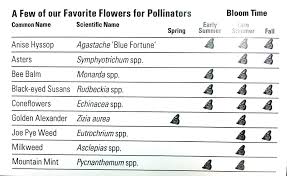 Pollinator Plant Chart Sustainability