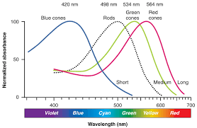 How Is Hue Saturation And Brightness Of Colours Explained