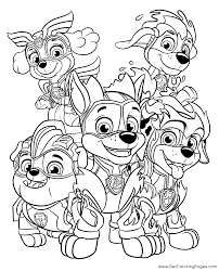 Donderdag 29 oktober 2020 rex. Paw Patrol Super Pups Para Colorear