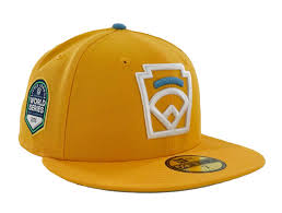 Image result for Yellow 2025 Fleet