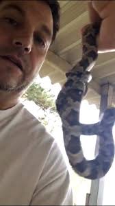 I'd please... I'm thinking rat snake ??