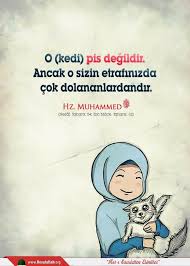 O Kedi Pis Degildir Ancak O Sizin Etrafinizda Cok Dolananlardandir Birhadis Dualar Guzel Soz Islam