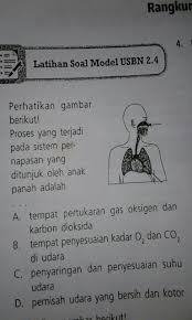 Proses pertukaran antara o2 dengan co2 terjadi secara difusi, yaitu perpindahan zat terlarut (o2 atau co2) dari daerah yang memiliki konsentrasi dan tekanan tinggi ke. Tempat Pertukaran Oksigen Dan Karbondioksida Pada Alat Pernapasan Adalah Berbagai Alat