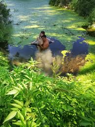 Despre bucurie în est şi în vest şi alte eseuri , humanitas, 2006; InimÄ Èi Alte Preparate Din Carne Teatrul National Marin Sorescu