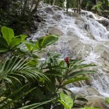 Maybe you would like to learn more about one of these? 12 Best Things To Do In Jamaica U S News Travel