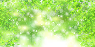 初夏の背景の葉 のイラスト素材・ベクタ - . Image 39656153.