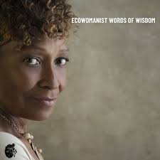 @ecowomanist's video Tweet