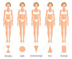 For example, a woman with an hourglass figure will tend to gain. Forms Of Female Body Type Various Figures Of Women Vector Royalty Free Cliparts Vectors And Stock Illustration Image 122354345