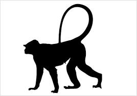 Monkey Silhouette Vector Download Monkey Vector Animal Silhouette Silhouette Vector Horse Silhouette