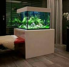 Aquarium Aquarium Aqua Rooms Home Design Diy
