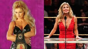 Image result for Torrie Wilson