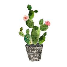 Available in different sizes, not framed. No Frame Yunhigh Nordic Canvas Wall Art Green Cactus Painting Tropical Plant Decorative Botanical Art Print Minimalism Canvas Poster For Living Room Bedroom Office Dinning Room Home Garden Store Ecog Home