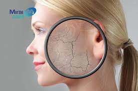 Ứng dụng tế bào gốc trong thẩm mỹ làm đẹp