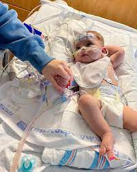 Living with Hypoplastic Right Heart Syndrome: Alex's Story At 20 weeks, hope turned to fear 💔 — Alex's tiny heart had Hypoplastic Right Heart Syndrome. Born at 36 weeks, only 4 pounds