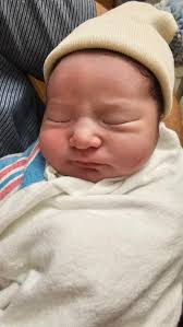 Lynn Pacheco- O'Donnell