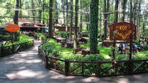 Ormanpark'ta fidan satılacak - Sakarya Ekonomi