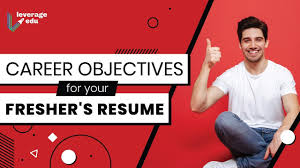 For sample resumes designed for other levels of education/work experience, check out our sample cvs page. Career Objective For A Fresher Examples Writing Guide Leverage Edu
