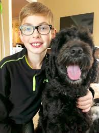 Stella the support dog visits Labrador City Arena