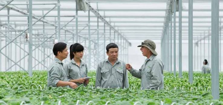 Tôi muốn trở thành kỹ sư nông nghiệp – Phòng Quản lý chất lượng - Kiểm soát nội bộ